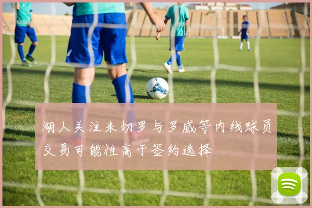 湖人关注米切罗与罗威等内线球员交易可能性高于签约选择